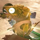 Illustration for article titled Splatoon 2's Salmon Run Is More Fun With Ridiculous Enemy Nicknames